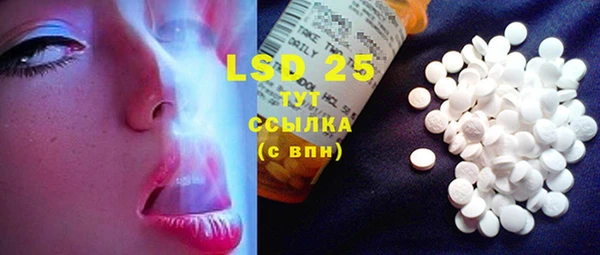 индика Лагань
