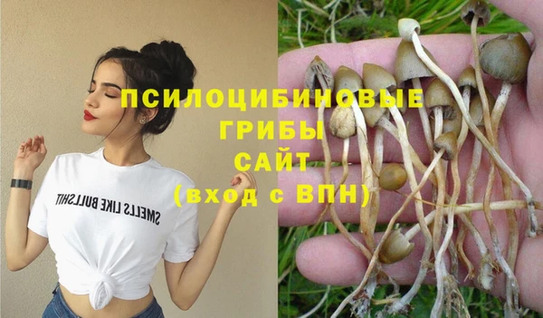 индика Лагань