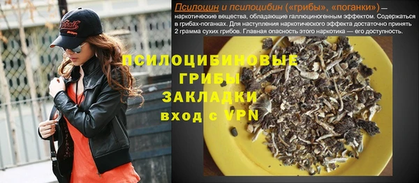 PSILOCYBIN Лабытнанги