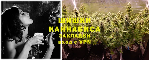 индика Лагань