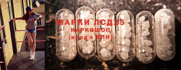 индика Лагань