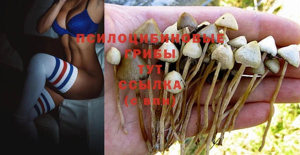 PSILOCYBIN Лабытнанги