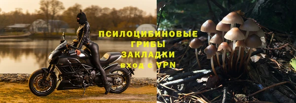 ALPHA-PVP Ладушкин