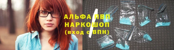 индика Лагань